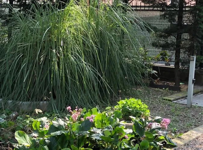 Il Villino Della Duchessa 4* بارما