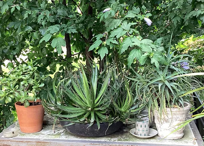 Il Villino Della Duchessa 4* بارما