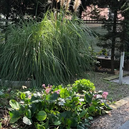 Il Villino Della Duchessa 4* Parma