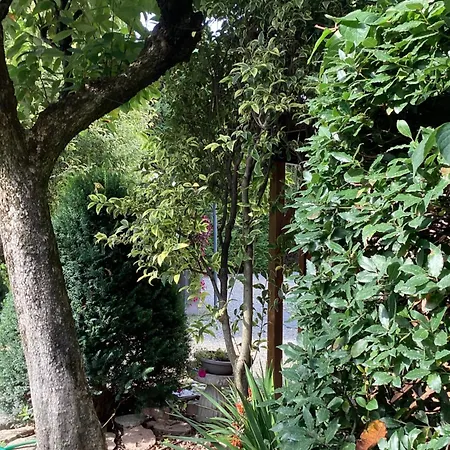 住宿加早餐酒店 Il Villino Della Duchessa 4*